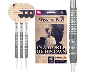 Target Darts Raymond Van Barneveld RVB 25 Year Edition 18G 95% Set di Freccette con Punta Morbida in tungsteno