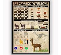 Targhe in metallo con informazioni sugli alpaca, poster con infografica sugli alpaca, enciclopedia sugli animali, targhe da stampare, decorazioni murali per la casa, per bambini, 8x12 pollici