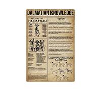 Targhe in metallo con informazioni sui dalmata, poster con infografica sui dalmata, guida enciclopedica sui cani, targhe per la casa, decorazioni da parete per la stanza del Kennel Club, 8x12 polli