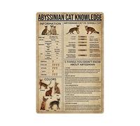 Targhe in metallo con informazioni sul gatto abissino, poster con infografica sul gatto abissino, guida all'enciclopedia dei gatti, targhe per la casa, la casa del gatto, la decorazione da parete,