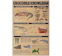 Targhe in metallo con la scritta "Crocodile Knowledge", poster in metallo con la scritta "Crocodile Knowledge", targhe retrò, decorazioni per fattoria, club, garage, decorazioni da parete, 8x12 pollic