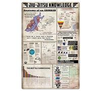 Targhe in metallo con nozioni di Jiu Jitsu, decorazione da parete vintage per sala di arti marziali, poster in latta con anatomia di un armbar, nozioni di base di Jiu Jitsu, targa infografica per l