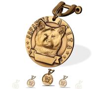 Targhetta Personalizzata per Cane - Targhetta per cani personalizzata con testo inciso su entrambi i lati -incisione laser - Ottone ⌀35-40cm Dog Tag (Akita giapponese)