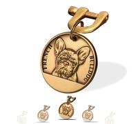 Targhetta Personalizzata per Cane - Targhetta per cani personalizzata con testo inciso su entrambi i lati -incisione laser - Ottone ⌀35-40cm Dog Tag (Bulldog francese)