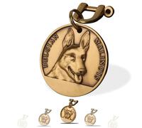 Targhetta Personalizzata per Cane - Targhetta per cani personalizzata con testo inciso su entrambi i lati -incisione laser - Ottone ⌀35-40cm Dog Tag (Canis lupus familiaris)