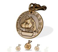 Targhetta Personalizzata per Cane - Targhetta per cani personalizzata con testo inciso su entrambi i lati -incisione laser - Ottone ⌀35-40cm Dog Tag (Cane)