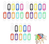 Targhetta Portachiavi, 30 Pezzi Portachiavi Etichette, Plastica Targhetta, Portachiavi con anelli divisi per chiavi, animali domestici, bagagli e etichette Memory Stick