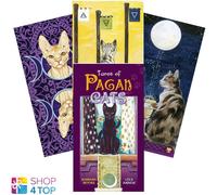 Tarocchi Di Pagani Gatti Strato Carte Airaghi Multilingue Esoteric Chiromanzia