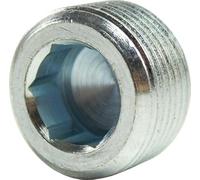 Taros Trade 131699 Spina dell'olio M 22 x 1.5 x 13