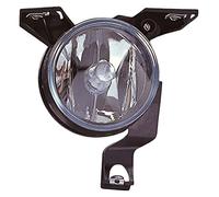 TarosTrade 36-0138-L-63467 Fendinebbia Per Lampadine H1 Per Gli Anni 2000-2005 Lato Sinistro