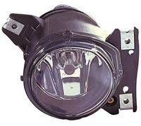 TarosTrade 36-0422-R-40329 Fendinebbia Lato Destro