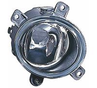 TarosTrade 36-0619-R-11875 Fendinebbia Per Gli Anni 2000-2003 Lato Destro