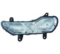 TarosTrade 36-3230-L-80318 Fendinebbia Con Luce Guida Diurna Per Xenon E-Mark Lato Sinistro