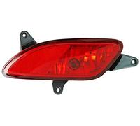 TarosTrade 42-0667-L-18052 Retronebbia Lato Sinistro