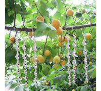 TARSHYRY 12 Bastoncini Riflettenti da 30 Cm, Aste Deterrenti per Uccelli Che Torcono il (SILVER)