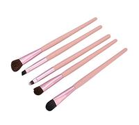 TARSHYRY 5 Pezzi Professional Eye Shadow Brush Portable Eccamindati Portaling Blusher Cosmetic Brush Makeup Set per il Trucco Giornaliero