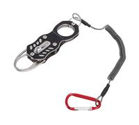 TARSHYRY Kit Tester per Monete, Test di Risonanza Avanzato per la Verifica delle Monete in Argento e Oro, con Controllo della Chiusura Magnetica, per da 1/10 Oz a 10 Oz