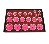 TARSHYRY Set di Presse per Orologi, Kit di Strumenti per Presse per Orologi, Set di Matrici per Fondello da 20 Pezzi, Strumento di Chiusura della Cassa Dell'orologio in ABS in Metallo,
