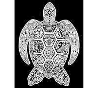 Tartaruga Colorvelvet. Disegno in velluto da colorare grande 47*35 Con set di pennarelli Carioca. 8024238222227