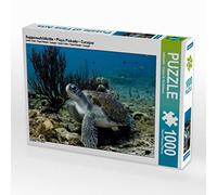 Tartaruga da zuppa • Playa Piskado • Curaçao 1000 pezzi Puzzle orizzontale