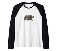 Tartaruga Slider dalle Orecchie Rosse - Popolare Animale Domestico Acquatico Maglia con Maniche Raglan