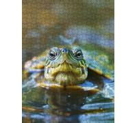 Tartarughe Animali Puzzle 2000 Pezzi, 3D Puzzle per Adulti Impegnativo, Educa Puzzles Artistico, Divertente E Stimolante Puzzles Decorativo per La Famiglia, Regalo e Decorazione Pareti FNKL6-362