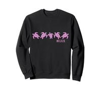 Tartarughe marine del Belize Scuba Diving Diver Pink Souvenir Felpa