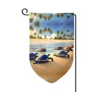 tartarughe sulla spiaggia