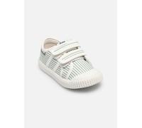 Tartine et Chocolat - T&C 14 EASY Verde - Sneakers 26 Verde