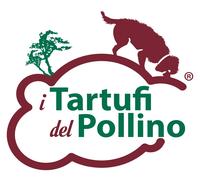 TARTUFO MESENTERICO FRESCO ITALIANO 500G BLACK TRUFFLE GOURMET NATURA CALABRIA