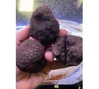 TARTUFO NERO MESENTERICO BAGNOLI IRPINO FRESCO 500gr POLLINO CALABRIA MIX SCELTO