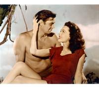 TARZAN L'UOMO SCIMMIA FILM FOTO Poster Stampa 24x20" Bella Immagine 258744