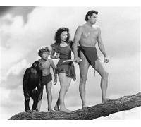 Tarzan Trova Un Figlio Poster Stampa Foto Del Film 24x20" Idea Regalo 170771