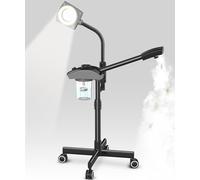 TASALON Vaporizzatore facciale ionico professionale 2 in 1 per il viso con braccio pieghevole con ingrandimento 3X, vaporizzatore viso vaporizzatore per salone di bellezza spa attrezzatura per la cura