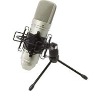 TASCAM TM-80, Microfono Professionale a Condensatore per Home Studio Recording per voce e strumenti acustici, Argento