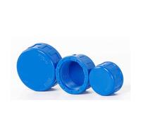 Tasco di blanking del tubo PVC Filetto femmina Scasso scarto Caspit Caspeggio Cap PVC, tappi per da giardino, tappo filo femminile, la testa irrigazione blu 40mm