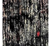 Tashi Dorji & Tyler - Both Will Escape