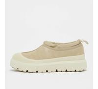 UGG Tasman Weather Hybrid, Scarpe da Ginnastica Uomo, Semi di Senape/Crema, 41 EU