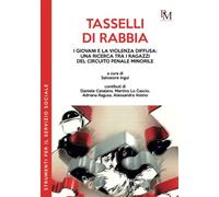 Tasselli di rabbia. I giovani e la violenza diffusa: una ricerca tra i rag...