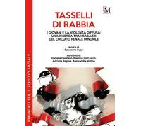Tasselli di rabbia. I giovani e la violenza diffusa: una ricerca tra i ragazzi del circuito penale minorile