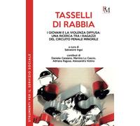 Libri Tasselli Di Rabbia. I Giovani E La Violenza Diffusa: Una Ricerca Tra I Rag