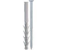 Tassello TUP4 con Vite TSP Torx 8 x 100 Friulsider 50 Pezzi