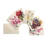 Tassotti | 10 Biglietti d'Auguri a tema fiori con Busta Avorio | formato 11,5x16,8 cm | Cartoncino 200 gr | Per Ogni Occasione | Festa Della Mamma | San Valentino | Anniversario
