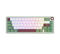 Tasta meccanica 66 RGB Scapabile a caldo cablato 65% per gioco portoghese brasiliano da RK R65(GreenSand)