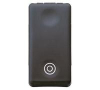 TASTER 2P SCHL.10A-BK