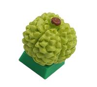 Tasti in resina a tema frutta vibrante per tastiere meccaniche Design unico Realistico Durian Avocado Forma opzionale Frutta colorata a tema Tastiere meccaniche Tastiere meccaniche