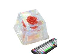 Tasti per tastiera in resina sintetica con tasto posteriore - Tasti creativi | Resina Camellia Sa Prof Tasti Keycap, ricambio fai da te lucido grazie al cappuccio traslucido R4 per Tas meccaniche