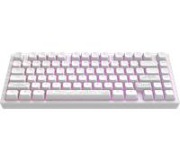 Dark Project Terra Nostra (ENG) - Tastiera meccanica da gioco in alluminio, con cavo USB, RGB, G3MS Moonstone, sostituibile a caldo, stabilizzatori ingrassati, alluminio 75%, colore: Bianco