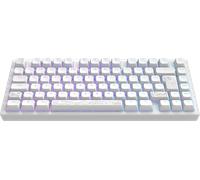 Dark Project ALU81A TERRA NOSTRA Tastiera meccanica da gioco | ISO Multi | Hot-Swap | Interruttori ingrassati G3MS Moonstone | Stabilizzatori ingrassati | Supporto con guarnizione flessibile |