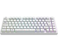 Dark Project ALU81A TERRA NOVA Tastiera da gioco meccanica wireless | ISO Multi | Hot-Swap | Interruttori ingrassati G3MS Moonstone | Stabilizzatori ingrassati | Supporto con guarnizione flessibile |